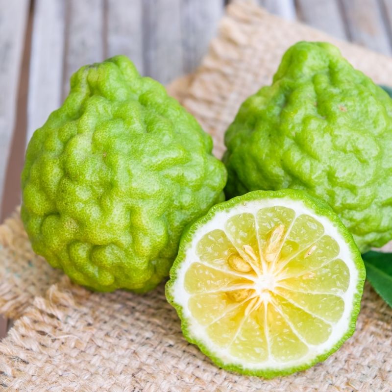 Bergamot